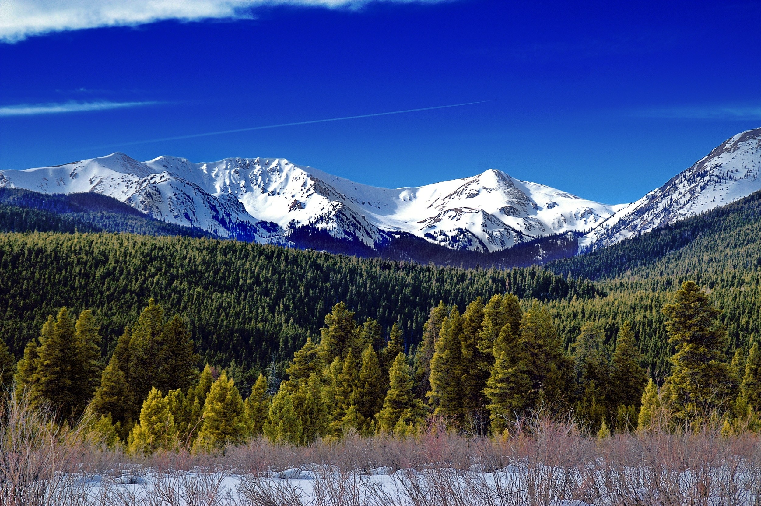 Winter Mountains and Forest in Colorado